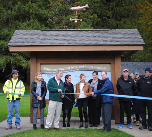 ribbon Ribbon Cutting